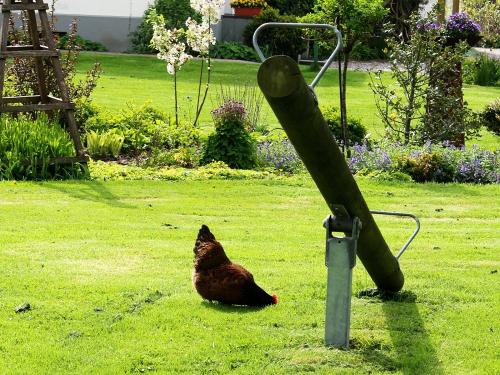 Bauerngarten