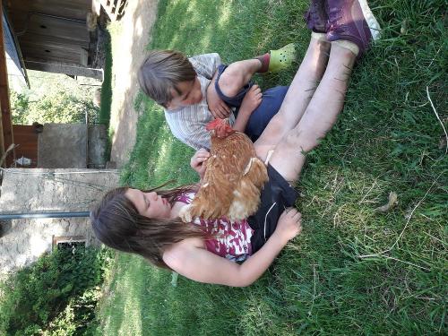 Entdecken Huhn 3