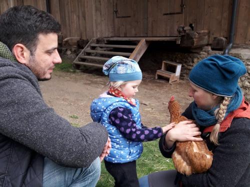 Entdecken Huhn 1