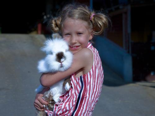 Tierliebe
