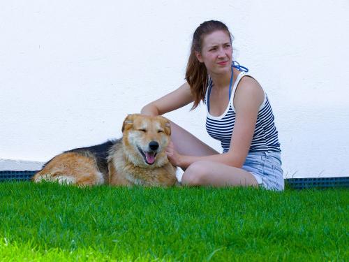 Timmy unser Hofhund