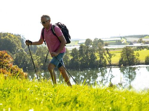 Wanderwege direkt ab Hofgut laden zu Touren durch das Hinterland des Bodensees ein