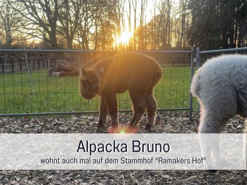 Vorlage für _beschriftet 32