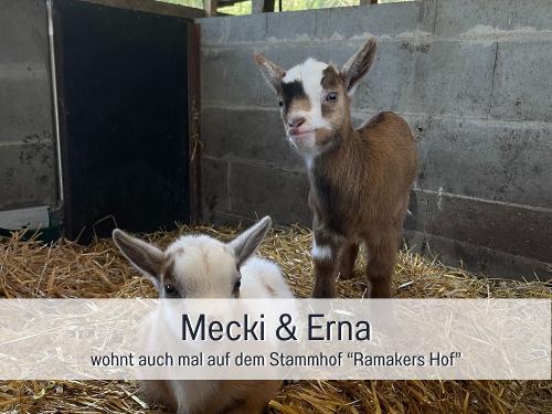 Vorlage für _beschriftet 34