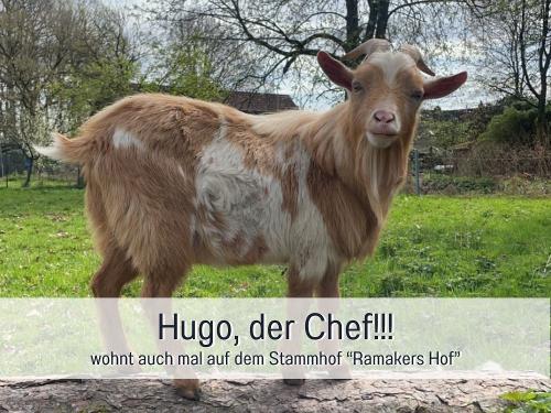 Vorlage für _beschriftet 33