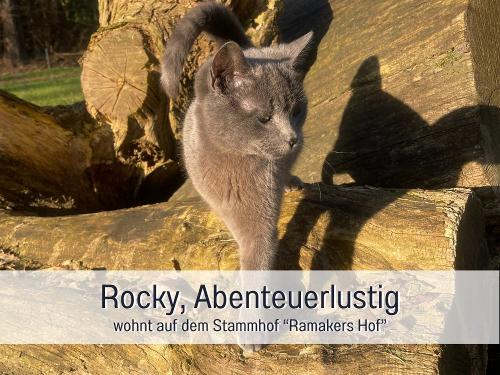 Vorlage für _beschriftet 37