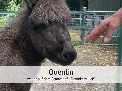 Vorlage für _beschriftet 38