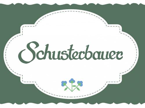 LOGO SCHUSTERBAUER symetrisch & final