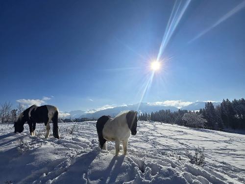 IMG-20251128-WA0015