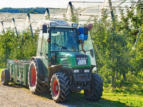 Arbeit in den Obstanlagen