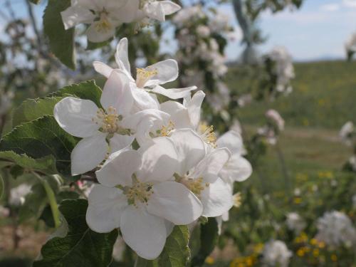 2019_04 Ailingen-0766