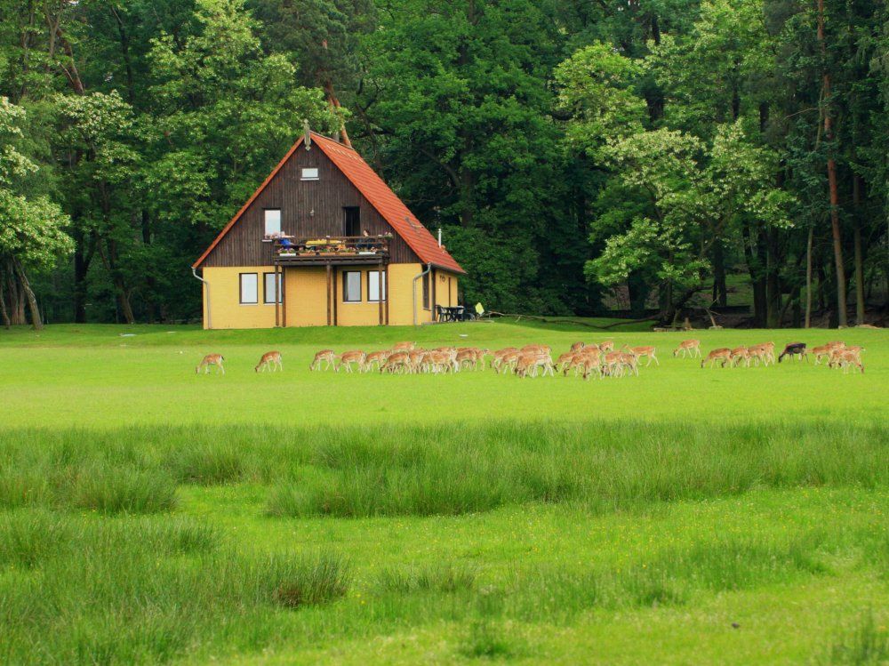 Ferienhaus 1