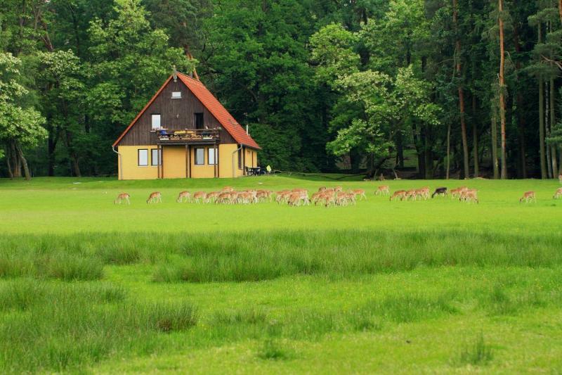 Ferienhaus1 2