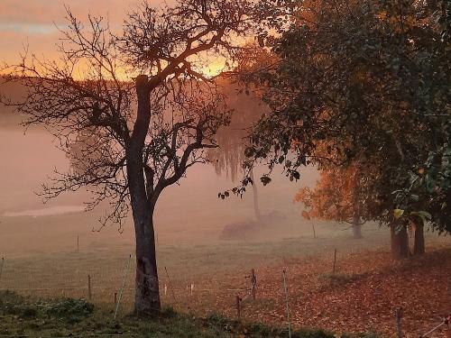 Herbststimmung