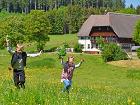 Wiesen rund um den Hof