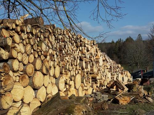 Holzwirtschaft
