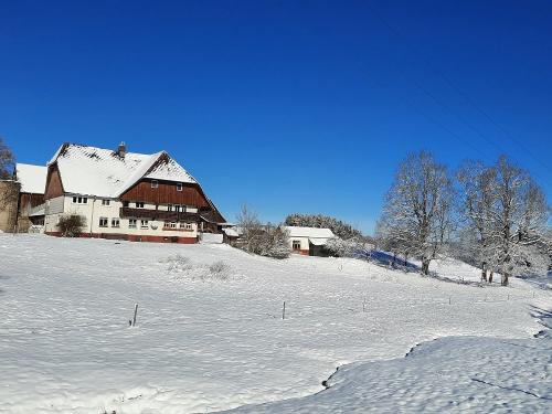 Erster Schnee auf dem Zuckerbauernhof