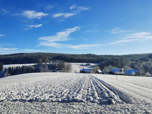 Winter in St. Georgen