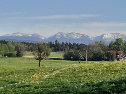 Panoramablick vom Ferienhof Kimmerle