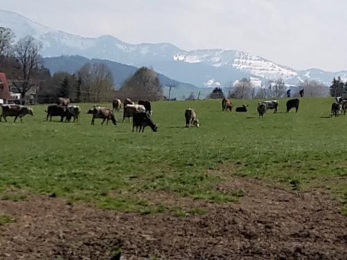 Wir sind ein  Bauernhof im Vollerwerb
