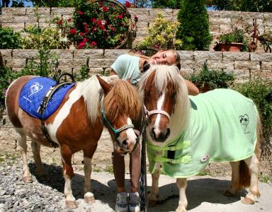 Ponys