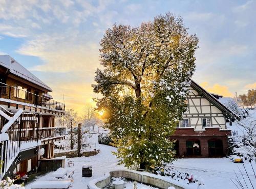 Hof Balisheim im Winter