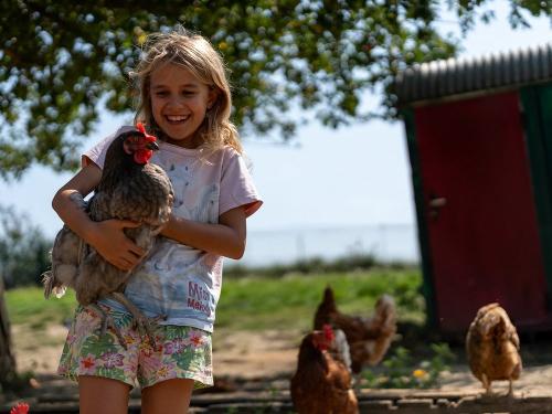 Unsere glücklichen Hühner Unsere glücklichen Hühner