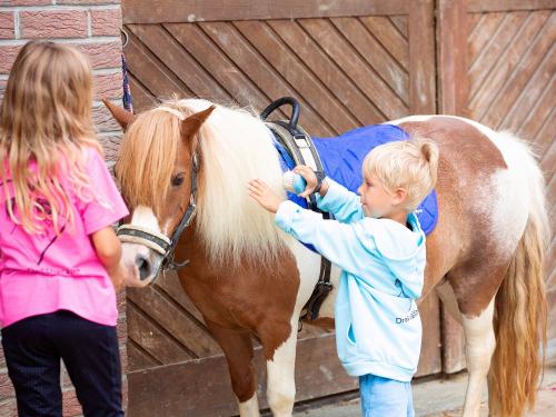 Pony striegeln Pony striegeln