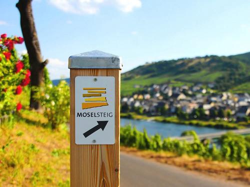 Wandern auf dem Moselsteig