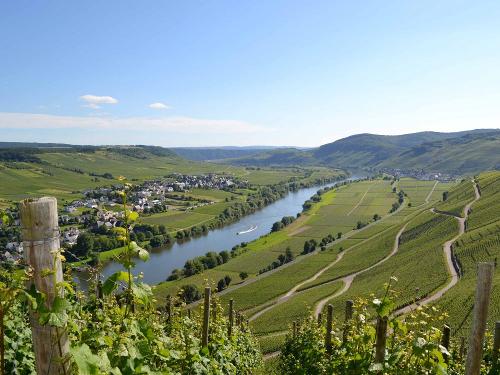 Blick ins Moseltal und die Weinberge