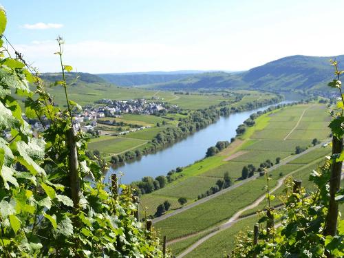 Blick ins Moseltal und die Weinberge