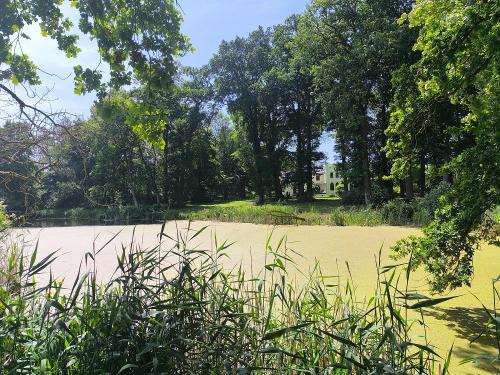 Parkteich