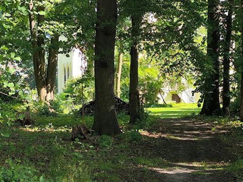 Wege im Park