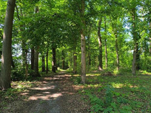Parkweg