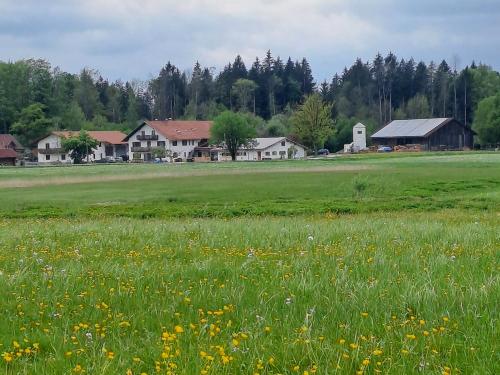 Unser Hof