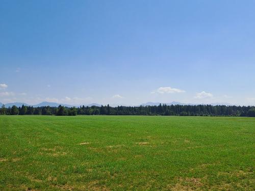 Aussicht