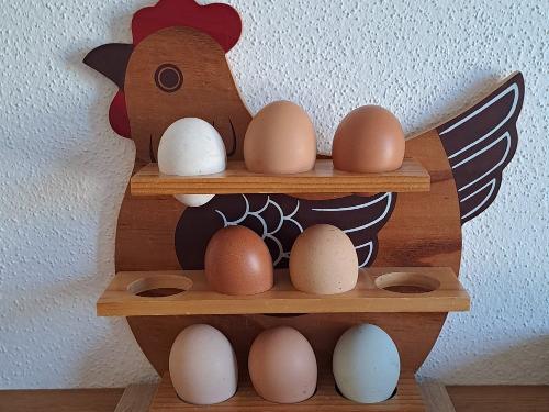 Frische Eier von unseren Hühnern für unsere Gäste