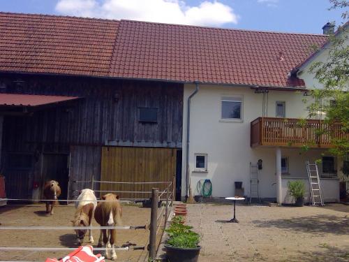Bauernhof mit Ponys