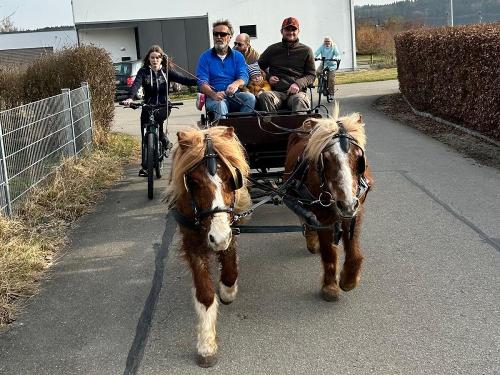 Kutsche fahren