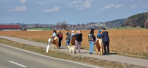 Reiten Westerheim Günz