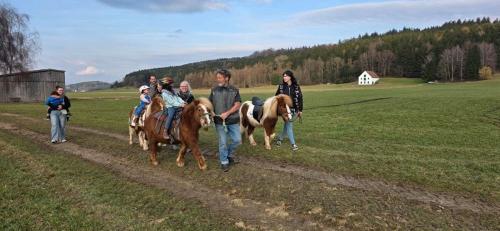 Reiten Günz - Westerheim
