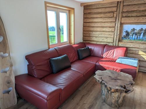 Sonnentau Wohnzimmer