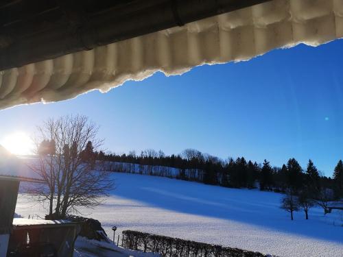 Dachschnee