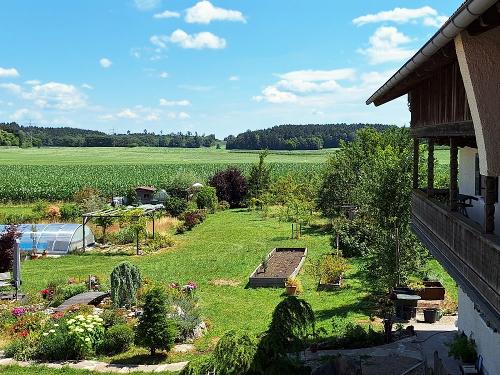 Ausblick Fewo Gänseblümchen
