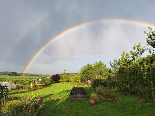 Regenbogen