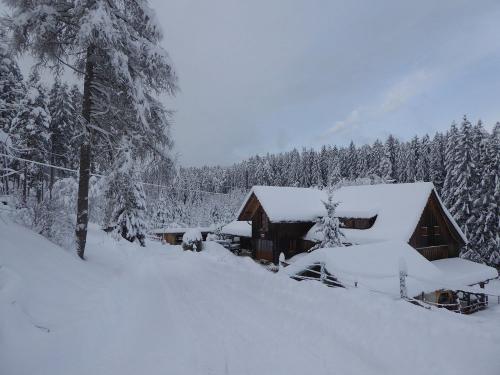 Im Winter