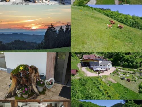 Collage