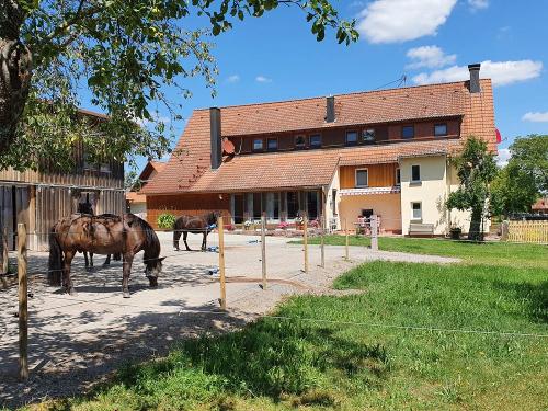 Koppel neben dem Haus