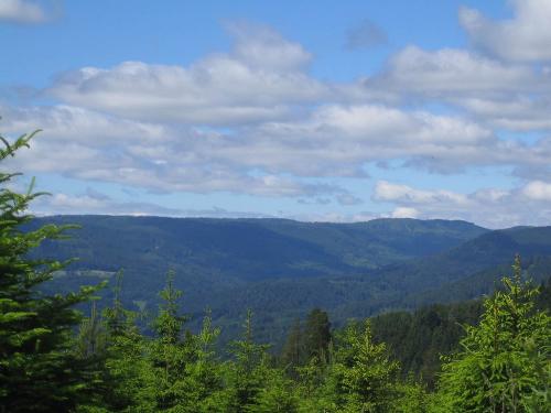 Wanderparadies Schwarzwald