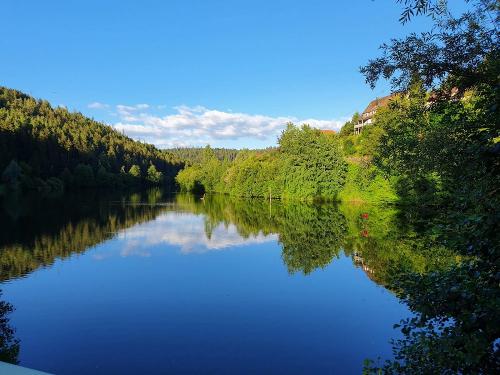 Wanderparadies Schwarzwald